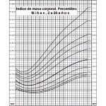 Acerca del índice de masa corporal para adultos